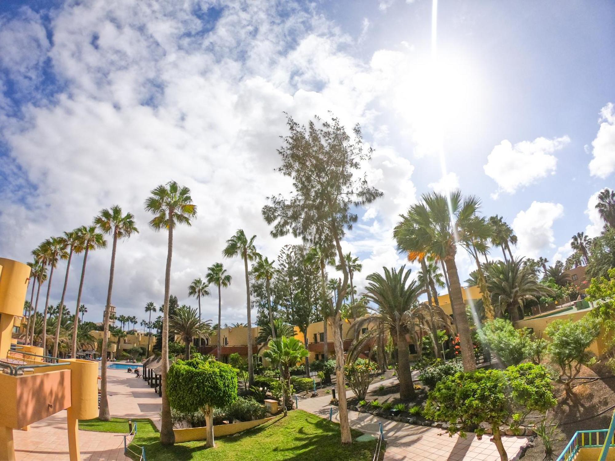 Appartement Drago 1 Atlantic Garden Corralejo
