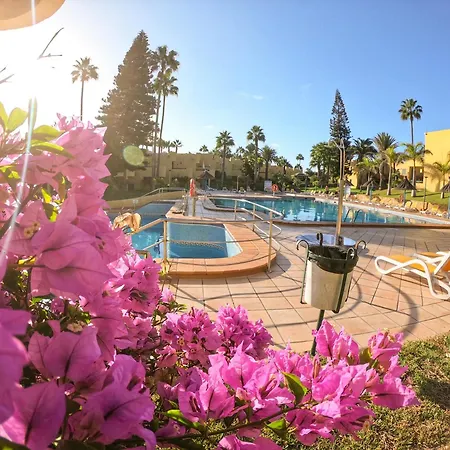 Drago 1 Atlantic Garden Apartment Corralejo Extérieur photo