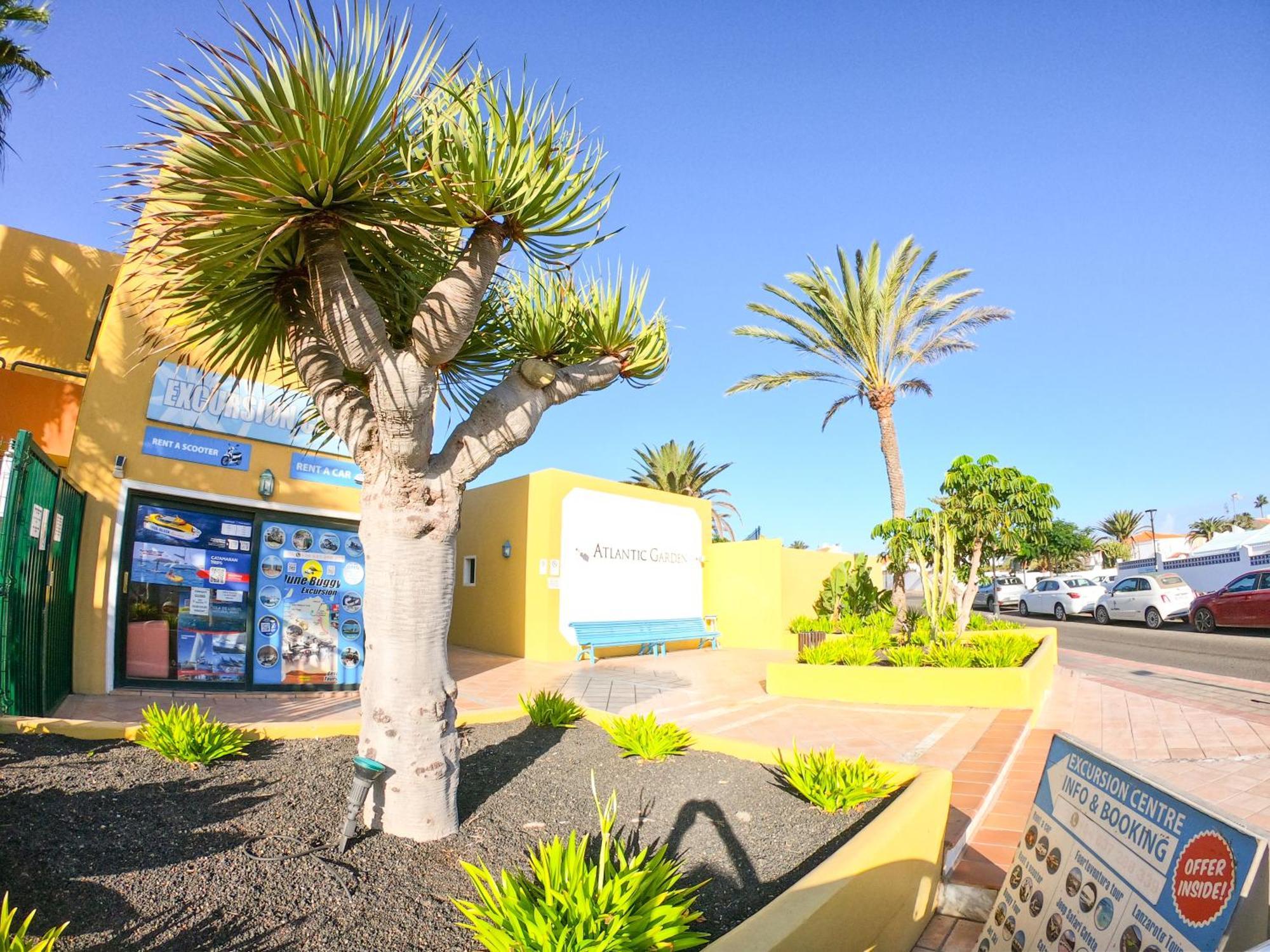Drago 1 Atlantic Garden Appartement Corralejo